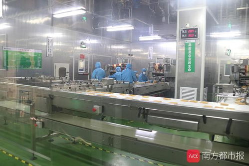 東莞“倍增計(jì)劃”申報(bào)啟動 新評價(jià)體系引領(lǐng)高質(zhì)量發(fā)展，信息服務(wù)業(yè)務(wù)迎新機(jī)遇